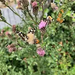 アパート Rhoener Sternenhimmel Frankenheim/Rhon