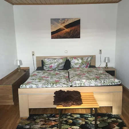 Apartman Rhoener Sternenhimmel Frankenheim/Rhon