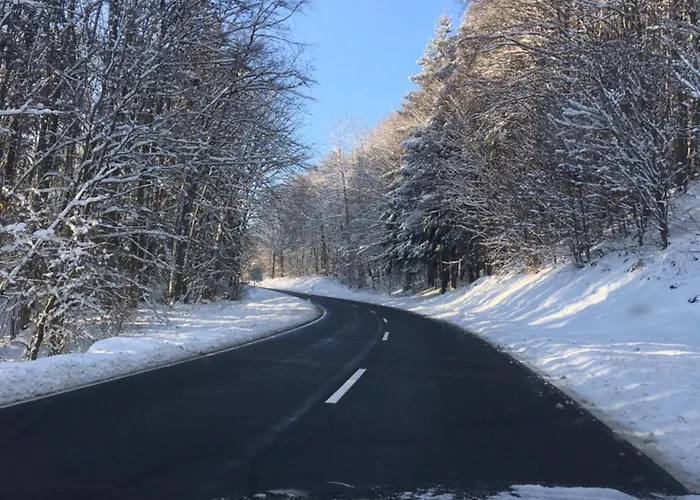 Appartement Rhoener Sternenhimmel *